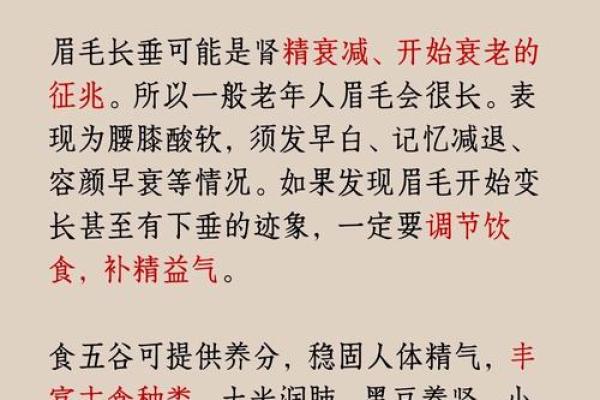 男人眉毛与命运：眉型影响性格与运势的奥秘