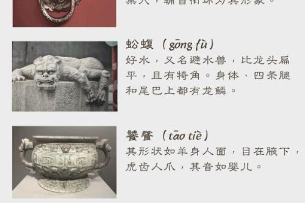 天上龙子命的神秘传说与个性解析