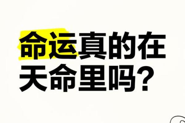 命里带来的财富与机遇：你是否真的能掌控自己的命运？