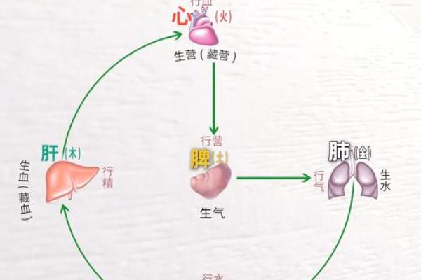炉中火命的性格与脾气分析：热情似火的人生理念