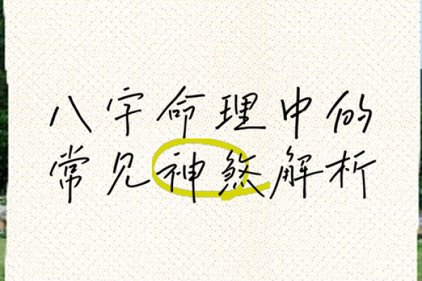煞命：探索命理中隐秘的能量与影响之道