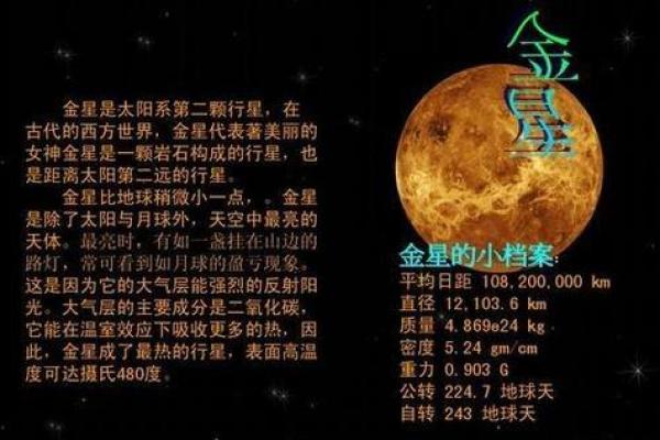 太阳星命：探索光芒四射的命运之旅