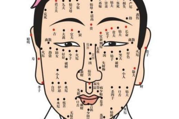 外阴黑痣的神秘寓意：解读命运与健康的暗示