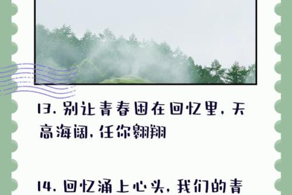 以一九八二年的回忆，探寻那年青春的光芒与梦想的足迹