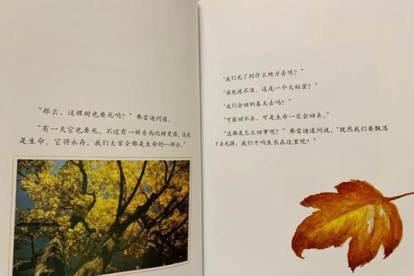 皇帝命的神秘解读：探寻命理背后的深意与启示