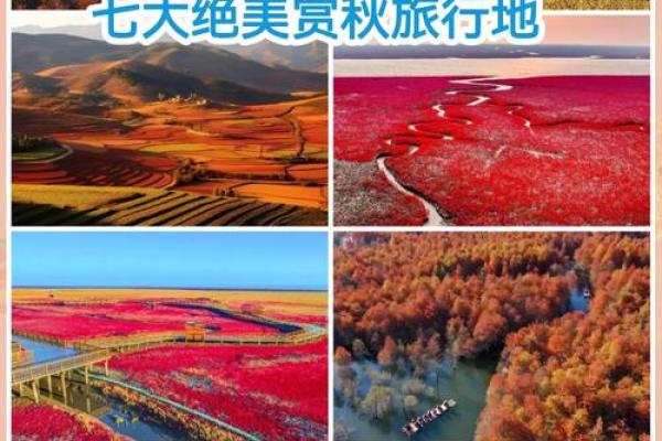 探秘秋季自然之旅：在色彩斑斓的世界中寻找心灵的宁静