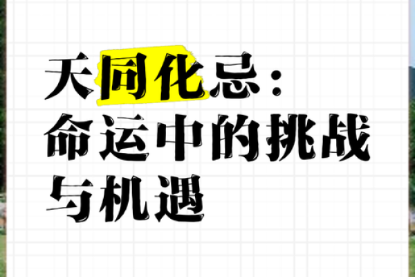 命运的选择：如何面对人生的挑战与机遇