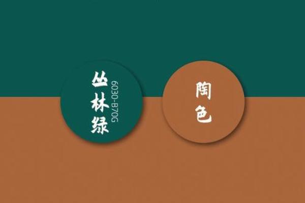 水命人不宜的颜色：如何选择最适合的色彩搭配