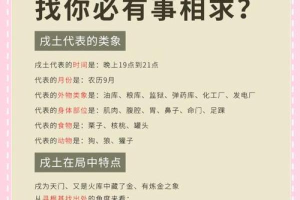 属狗男宝宝的命运解析：星座与命理的完美结合