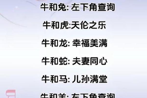 1994年的命运与生肖配对：揭示生命中的奇妙缘分