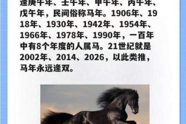 66年11月生肖与命运：探讨出生于水马年人的人生轨迹与性格特点
