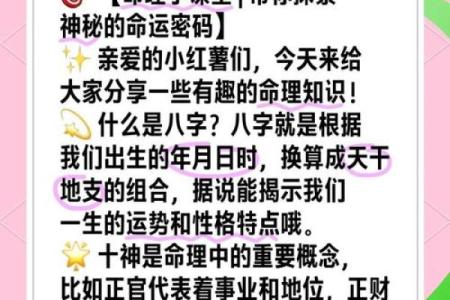 探讨1996年出生的生肖运势与命理分析：解析命运密码