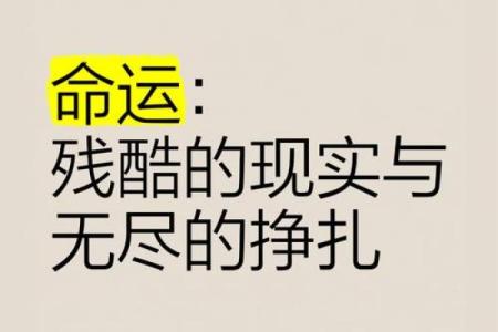从旺夫命到损夫命：女人命运的转变与内心挣扎