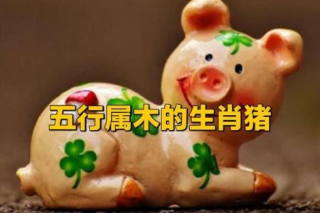 2019年属猪的命理解析：探寻五行与人生道路的奥秘