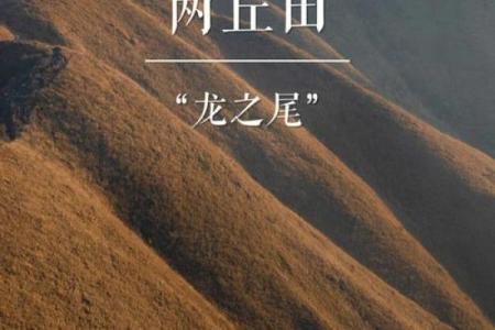 探寻新化命田的神秘之美与独特魅力