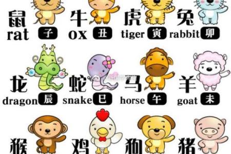 96腊月鼠命理解析：探索鼠年的独特命运与人生之路