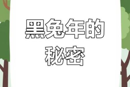 探索黑兔年：解读兔年命格及其背后的深意