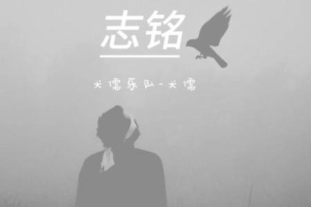 贱命：探寻生命的珍贵与流失背后的意义