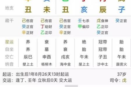水命之人如何选择适合自己的数字，提升运势与生活品质