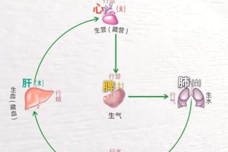 炉中火命的性格与脾气分析：热情似火的人生理念