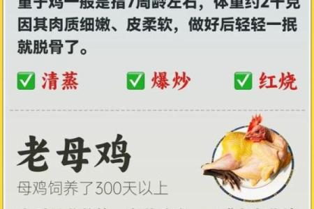 2017年鸡宝宝命理解析：优势与不足的全面剖析