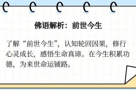 命运的轮回与无常人生：解读命运的意义
