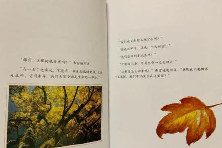 皇帝命的神秘解读：探寻命理背后的深意与启示