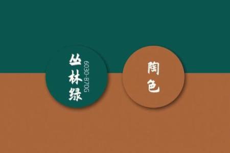 水命人不宜的颜色：如何选择最适合的色彩搭配