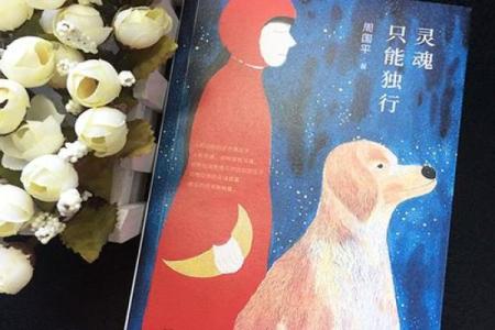 探寻无后之命：独行者的人生哲学与心灵之旅