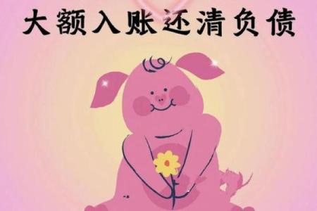 属猪23岁，人生的转折与命运的启示