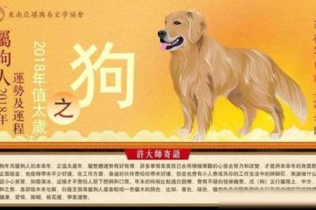 25岁属狗的命运解读：探索性格与人生方向之旅