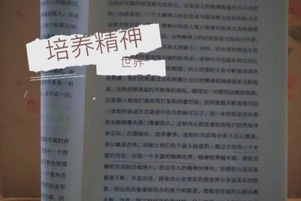 探索六世五命中的强命之义：命理与人生的智慧