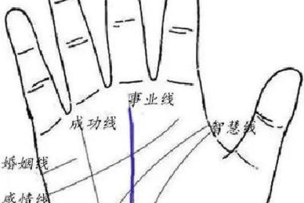 掌握你命运的手掌：揭秘手相与个人成长的秘密