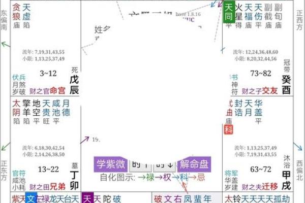 女命贵气之谜：解读命理特征与生活智慧