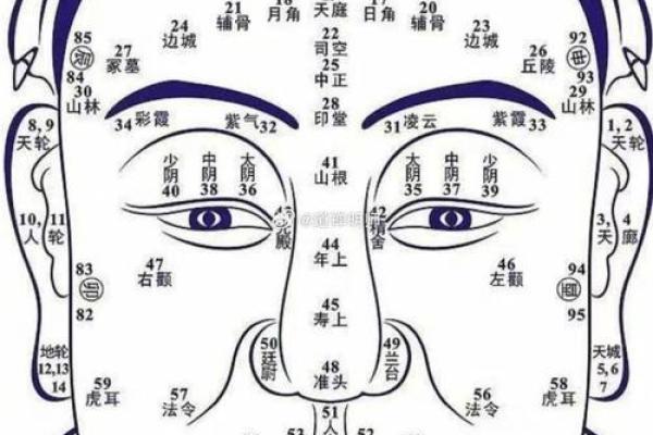 从鼻子的形状解析命格，揭示你的人生潜能与运势！