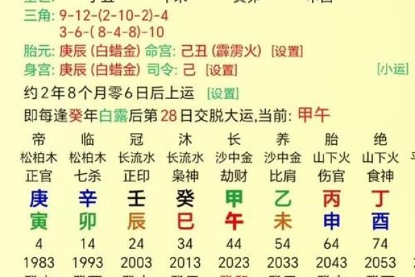 己巳命格的深度解析与生活建议，助你走向更美好的人生道路！