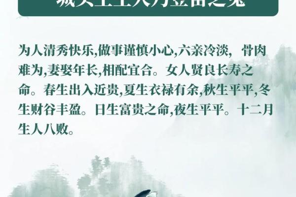 兔年生人五行命理解析：探究兔子象征与五行配合之道