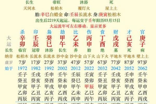 辛丑日癸巳时命运解析：解锁内心智慧与成功之道