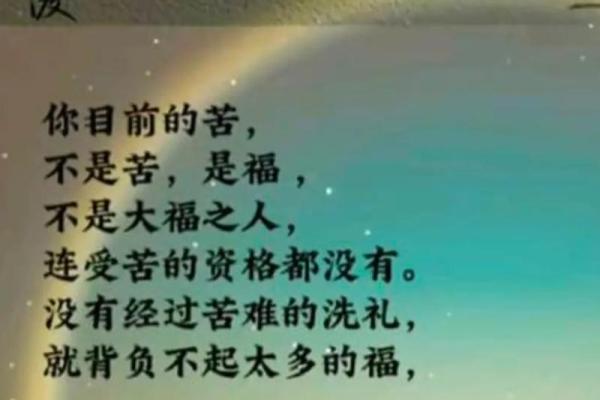 四条命换一条命，背后的意义与启示