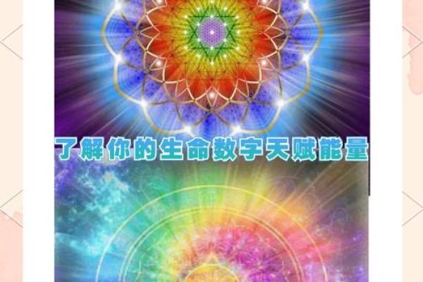 数字三的人是什么命：探索其性格与命理特点
