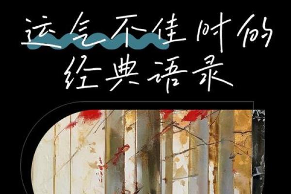命好的人生：不依赖能力，只讲运气与机遇的故事