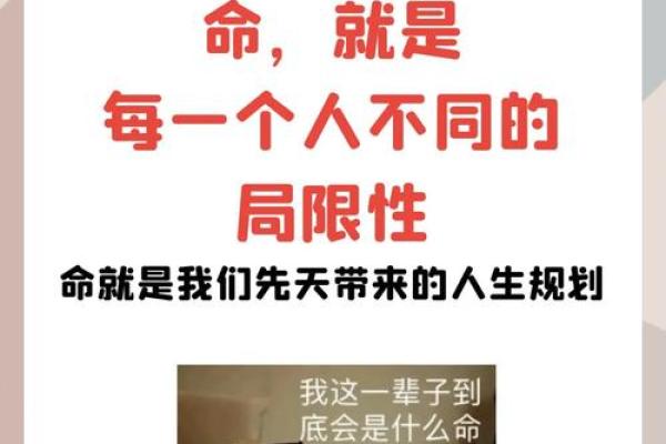 命太强，人生如风，掌握自己的命运与未来！