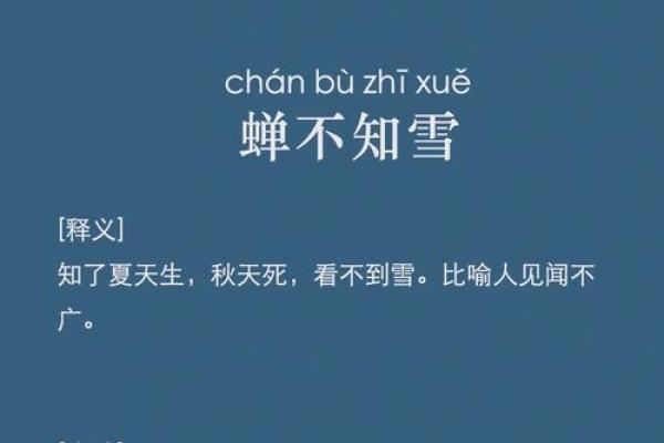 揭开“达什么什么命”成语背后的智慧与魅力探秘