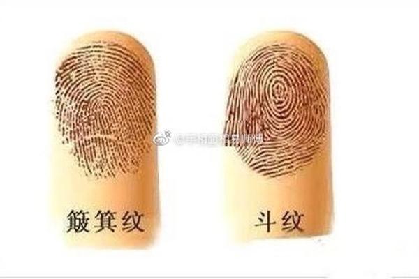 满手簸箕的女人：命运与生活的交织探讨