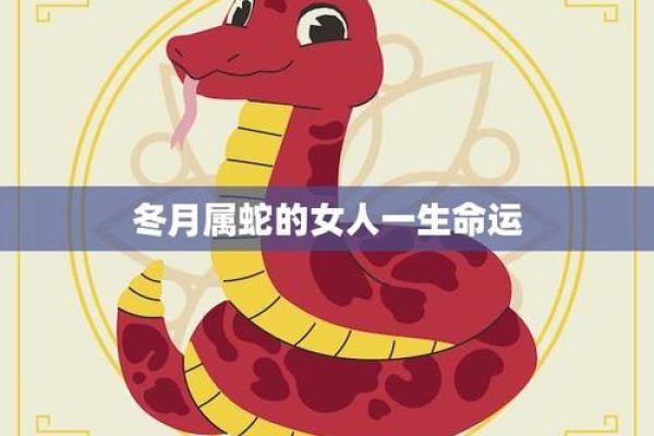 97年冬月出生的命理揭秘与人生轨迹分析