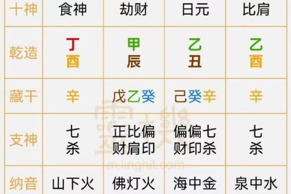 如何判断你是否是木命：木命的特点与解析