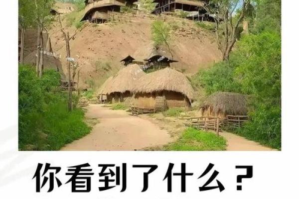 1885年属鸡的命理分析：生活、事业与性格的全面解读