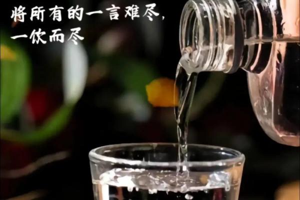 探秘空命酒：酒中蕴藏的生活哲学与文化精髓