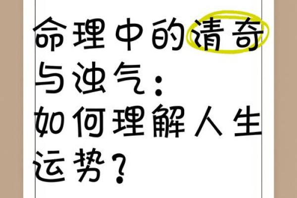 1971年出生的人命运解析：如何理解自己的人生轨迹与运势变化