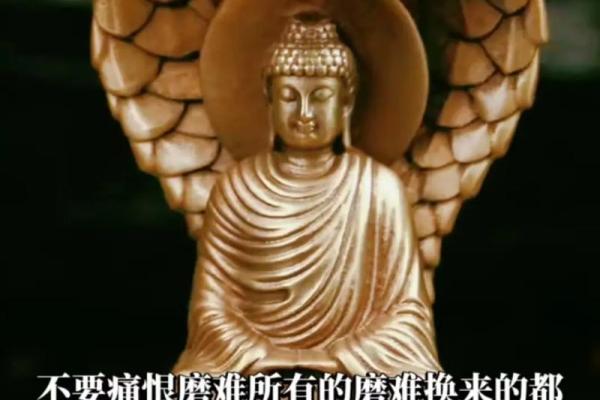 宝命十二丹：修身养性，探寻生命真谛的智慧之道
